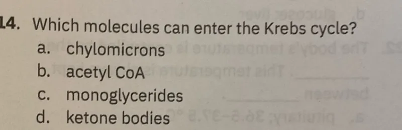 14. Which molecules can enter the Krebs cycle?
a. chylomicrons
b. acetyl COA
c. monoglycerides
d. ketone bodies