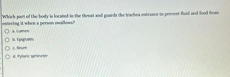 Which part of the body is located in the throat and guards the trachea entrance to prevent fluid and food from entering it when a person swallows?
a. Lumen
b. Epiglottis
c. lleum
d. Pyloric sphincter