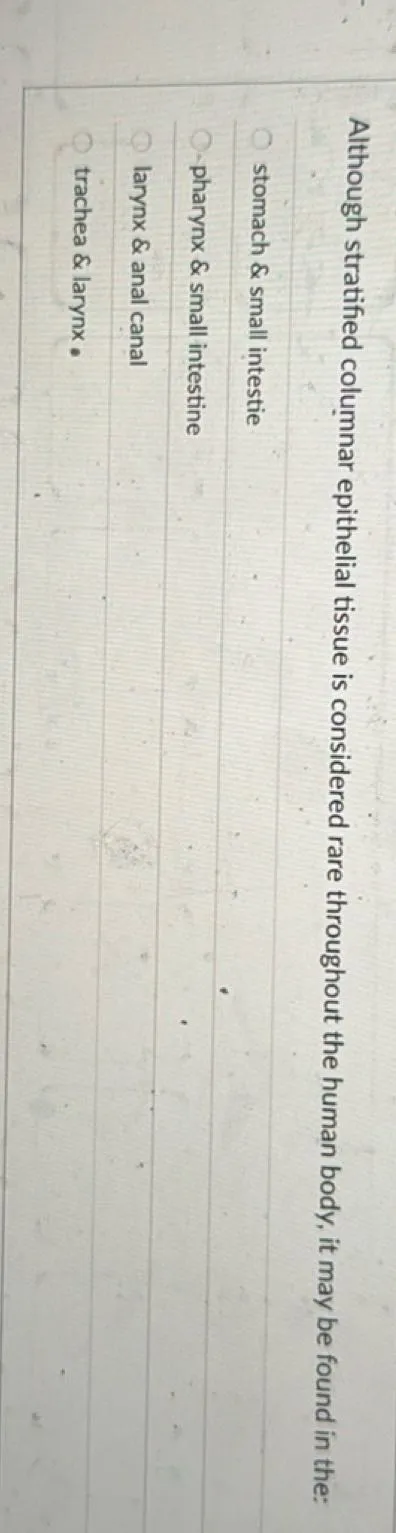 Although stratified columnar epithelial tissue is considered rare throughout the human body, it may be found in the:
stomach  small intestine
pharynx  small intestine
larynx  anal canal
trachea  larynx.