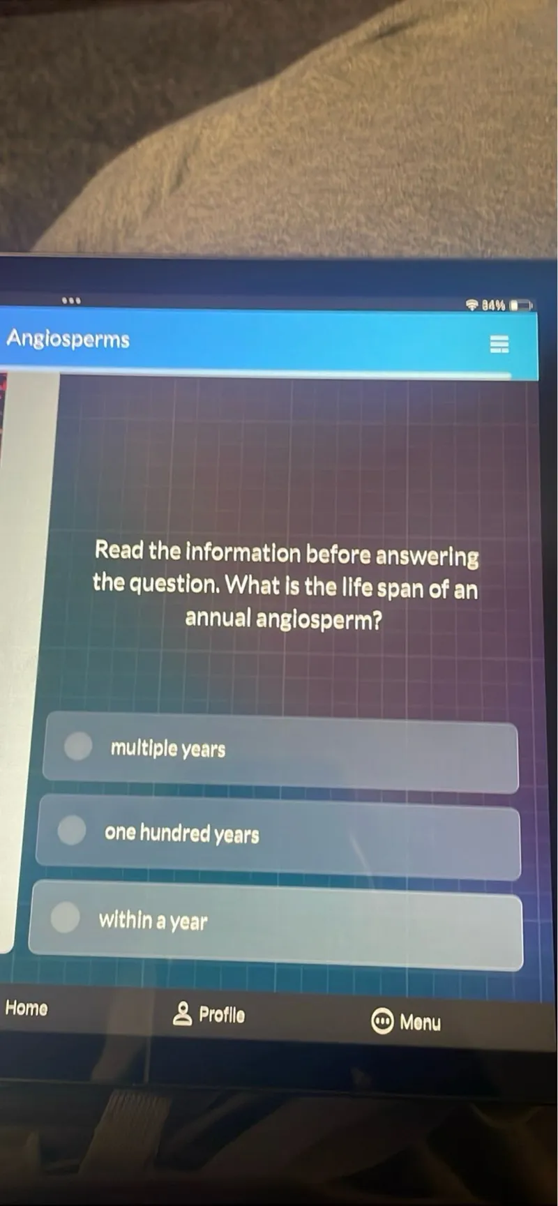 What is the life span of an annual angiosperm?