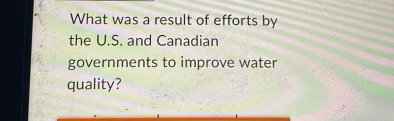 What was a result of efforts by the U.S. and Canadian governments to improve water quality?