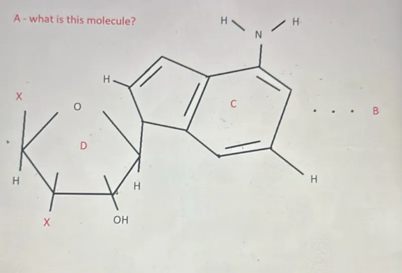 what is this molecule?