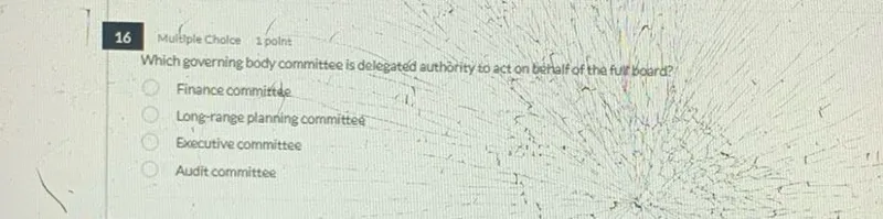 Which governing body committee is delegated authority to act on behalf of the full board?  
- Finance committee  
- Long-range planning committee  
- Executive committee  
- Audit committee