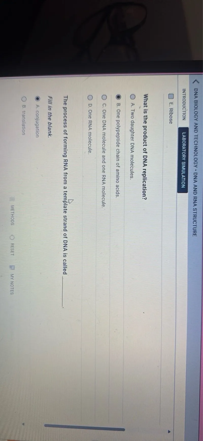 DNA BIOLOGY AND TECHNOLOGY • DNA AND RNA STRUCTURE
INTRODUCTION
LABORATORY SIMULATION
E. Ribose

What is the product of DNA replication?
A. Two daughter DNA molecules.
B. One polypeptide chain of amino acids.
C. One DNA molecule and one RNA molecule.
D. One RNA molecule.

The process of forming RNA from a template strand of DNA is called
Fill in the blank.
A. conjugation
B. translation