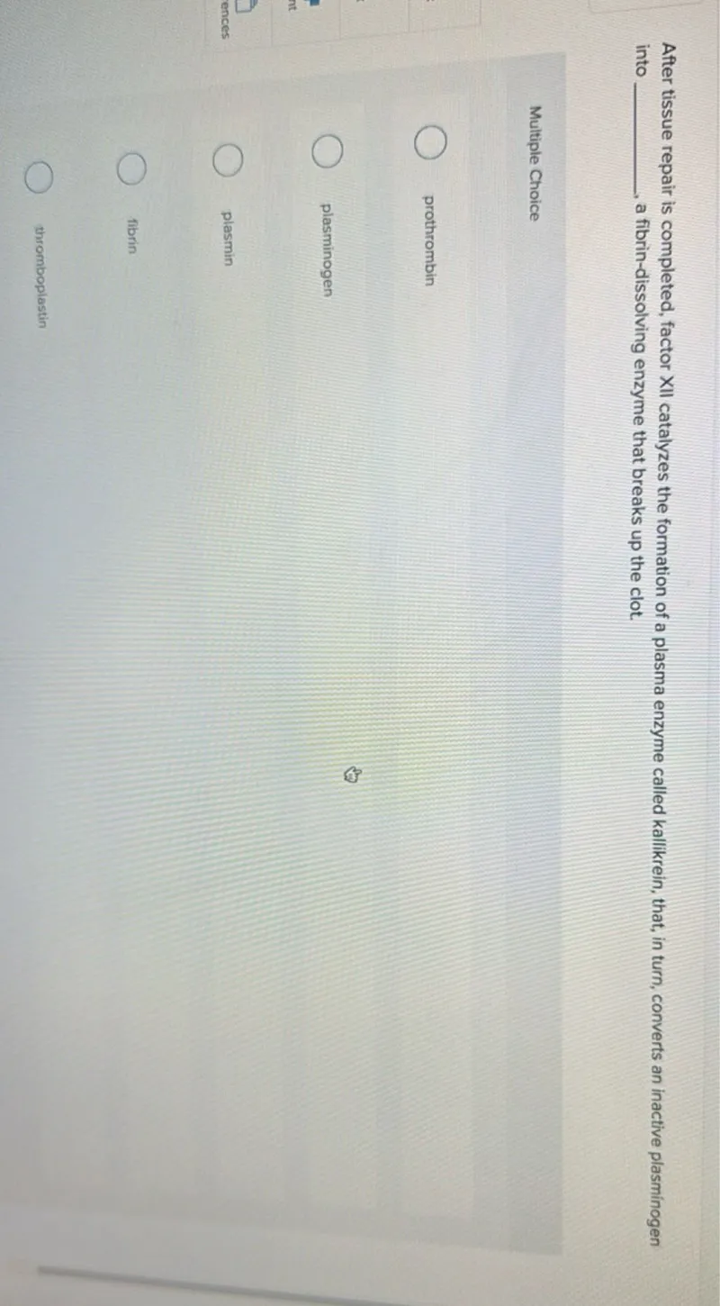 After tissue repair is completed, factor XII catalyzes the formation of a plasma enzyme called kallikrein, that, in turn, converts an inactive plasminogen into , a fibrin-dissolving enzyme that breaks up the clot.

Multiple Choice
prothrombin
plasminogen ences plasmin
fibrin
thromboplastin