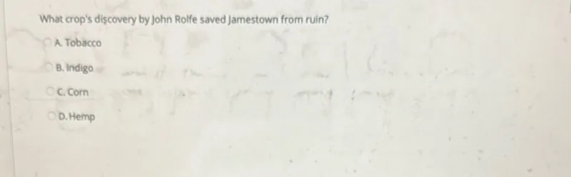 What crop's discovery by John Rolfe saved Jamestown from ruin?