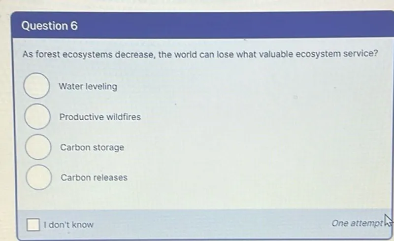 As forest ecosystems decrease, the world can lose what valuable ecosystem service?
Water leveling
Productive wildfires
Carbon storage
Carbon releases