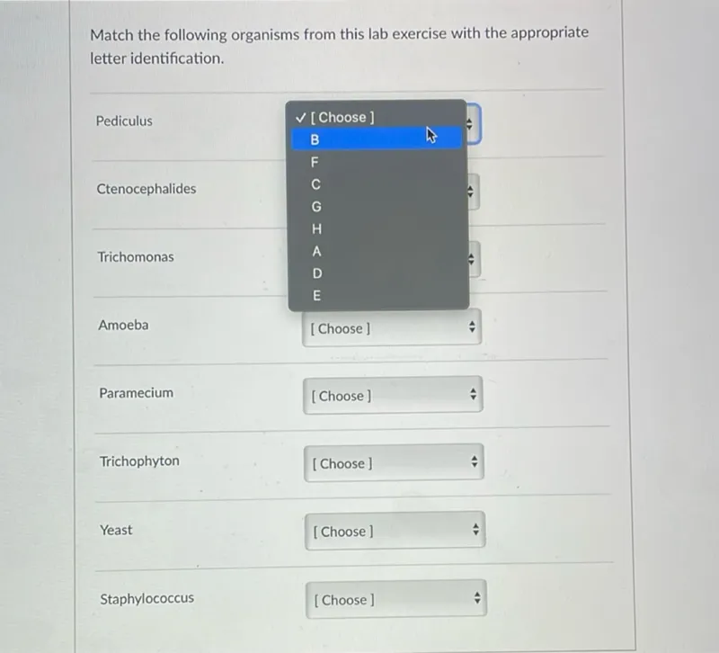 Match the following organisms from this lab exercise with the appropriate letter identification.

Paramecium
[Choose]

Trichophyton
[Choose]

Yeast
[Choose]

Staphylococcus
[Choose]