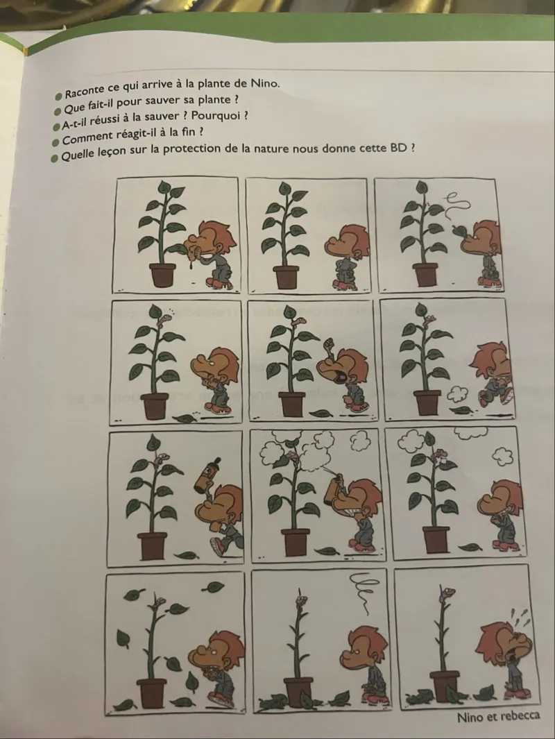 Raconte ce qui arrive à la plante de Nino.

Que fait-il pour sauver sa plante?
A-t-il réussi à la sauver ? Pourquoi?
- Comment réagit-il à la fin ?
- Quelle leçon sur la protection de la nature nous donne cette histoire ?