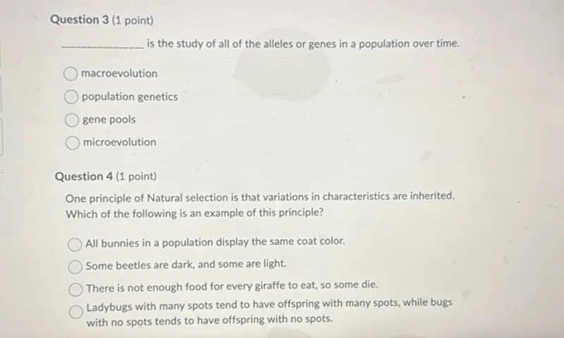 Question 3 (1 point)
 is the study of all of the alleles or genes in a population over time.
macroevolution
population genetics
gene pools
microevolution

Question 4 (1 point)
One principle of Natural selection is that variations in characteristics are inherited. Which of the following is an example of this principle?
All bunnies in a population display the same coat color.
Some beetles are dark, and some are light.
There is not enough food for every giraffe to eat, so some die.
Ladybugs with many spots tend to have offspring with many spots, while bugs with no spots tends to have offspring with no spots.