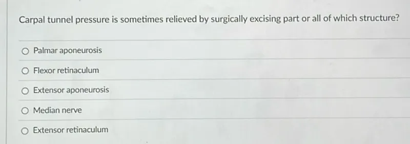 Carpal tunnel pressure is sometimes relieved by surgically excising part or all of which structure?
Palmar aponeurosis
Flexor retinaculum
Extensor aponeurosis
Median nerve
Extensor retinaculum