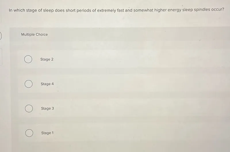 In which stage of sleep does short periods of extremely fast and somewhat higher energy sleep spindles occur?