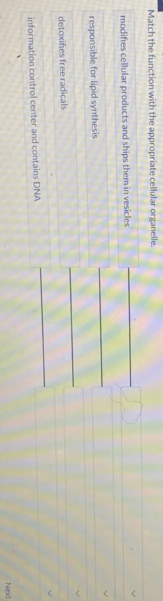 Match the function with the appropriate cellular organelle.
- modifies cellular products and ships them in vesicles
- responsible for lipid synthesis
- detoxifies free radicals
- information control center and contains DNA