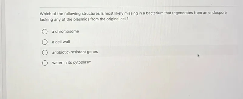 Which of the following structures is most likely missing in a bacterium that regenerates from an endospore lacking any of the plasmids from the original cell?
a chromosome
a cell wall
antibiotic-resistant genes
water in its cytoplasm