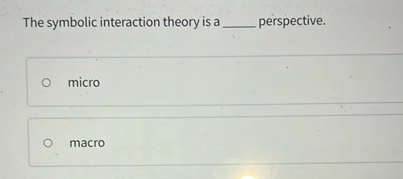 The symbolic interaction theory is a perspective.