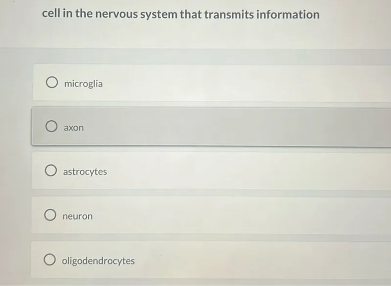 cell in the nervous system that transmits information
microglia
axon
astrocytes
neuron
oligodendrocytes