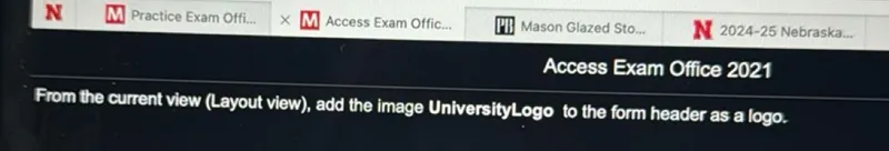 From the current view (Layout view), add the image UniversityLogo to the form header as a logo.