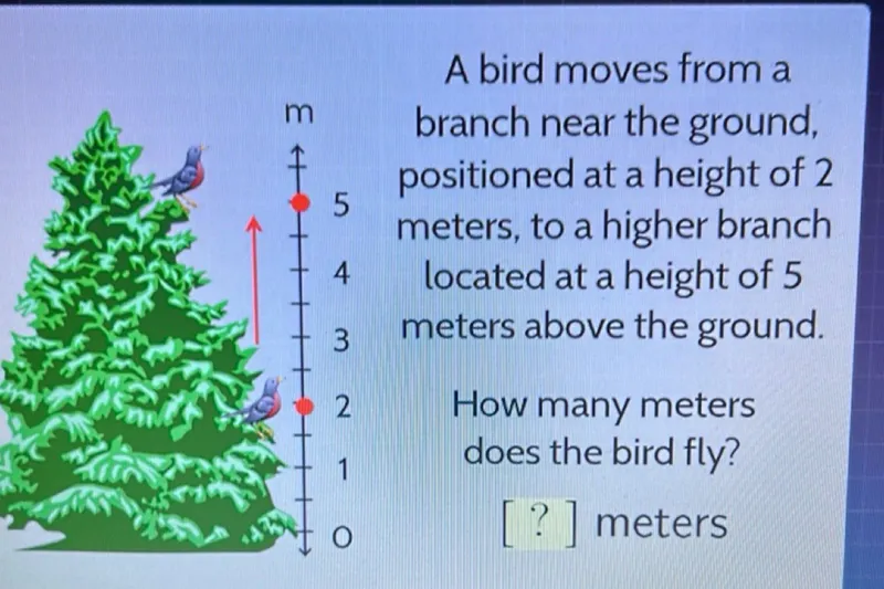 A bird moves from a branch near the ground, positioned at a height of 2 meters, to a higher branch located at a height of 5 meters above the ground.

How many meters does the bird fly?
[? ] meters