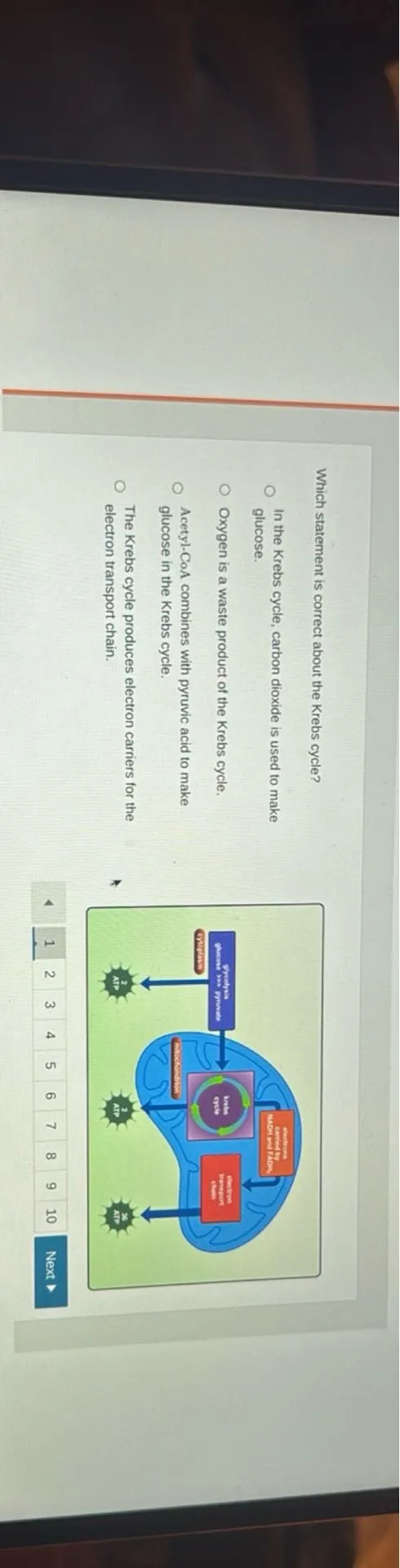 Which statement is correct about the Krebs cycle?
In the Krebs cycle, carbon dioxide is used to make glucose.
Oxygen is a waste product of the Krebs cycle.
Acetyl-CoA combines with pyruvic acid to make glucose in the Krebs cycle.
The Krebs cycle produces electron carriers for the electron transport chain.