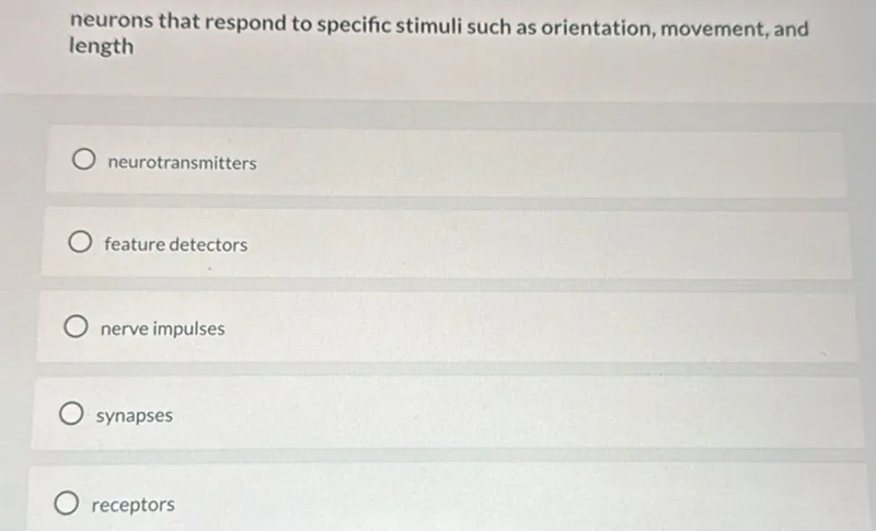 neurons that respond to specific stimuli such as orientation, movement, and length
neurotransmitters
feature detectors
nerve impulses
synapses
receptors