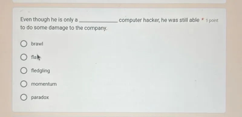 Even though he is only a fledgling computer hacker, he was still able to do some damage to the company.