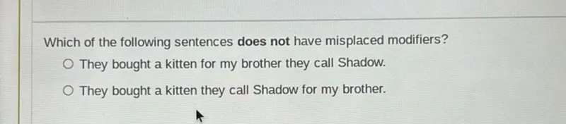 Which of the following sentences does not have misplaced modifiers?
They bought a kitten for my brother they call Shadow.
They bought a kitten they call Shadow for my brother.