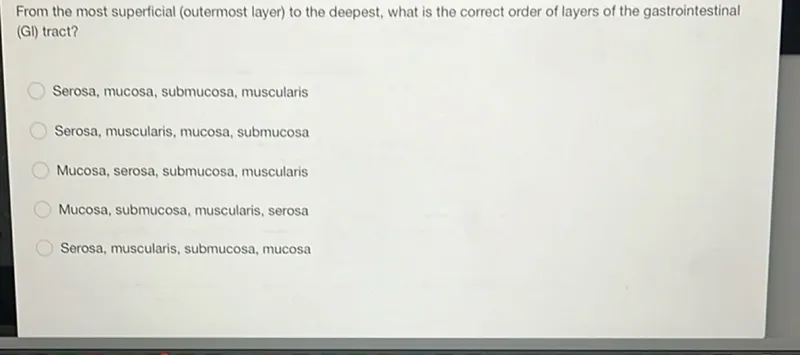 From the most superficial (outermost layer) to the deepest, what is the correct order of layers of the gastrointestinal (GI) tract?
Serosa, mucosa, submucosa, muscularis
Serosa, muscularis, mucosa, submucosa
Mucosa, serosa, submucosa, muscularis
Mucosa, submucosa, muscularis, serosa
Serosa, muscularis, submucosa, mucosa