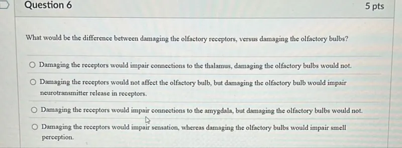 Question 6
5 pts

What would be the difference between damaging the olfactory receptors, versus damaging the olfactory bulbs?
Damaging the receptors would impair connections to the thalamus, damaging the olfactory bulbs would not.
Damaging the receptors would not affect the olfactory bulb, but damaging the olfactory bulb would impair neurotransmitter release in receptors.
Damaging the receptors would impair connections to the amygdala, but damaging the olfactory bulbs would not.
Damaging the receptors would impair sensation, whereas damaging the olfactory bulbs would impair smell perception.