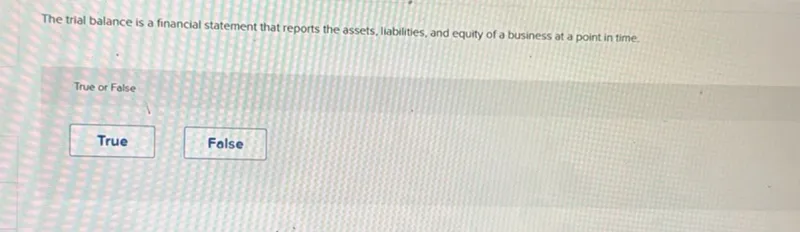 The trial balance is a financial statement that reports the assets, liabilities, and equity of a business at a point in time.

True or False

True
False