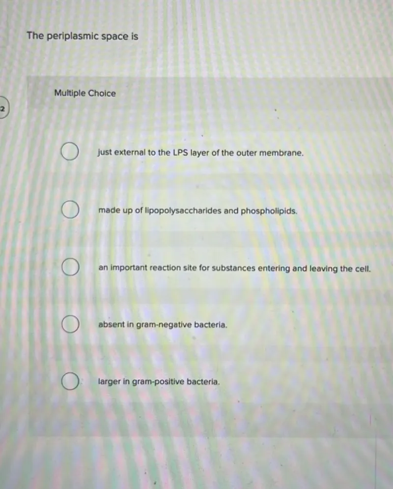 The periplasmic space is

Multiple Choice

just external to the LPS layer of the outer membrane.
made up of lipopolysaccharides and phospholipids.
an important reaction site for substances entering and leaving the cell.
absent in gram-negative bacteria.
larger in gram-positive bacteria.