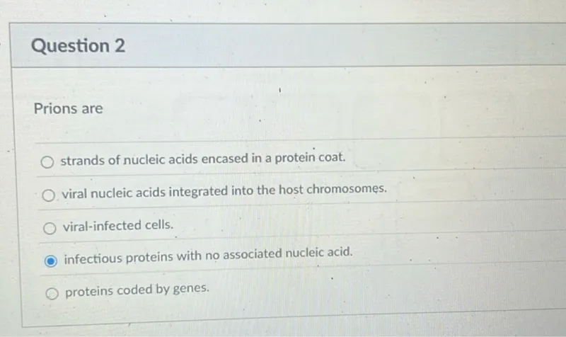 Question 2

Prions are
strands of nucleic acids encased in a protein coat.
viral nucleic acids integrated into the host chromosomes.
viral-infected cells.
infectious proteins with no associated nucleic acid.
proteins coded by genes.